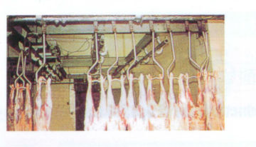 Livestock Slaughtering Line