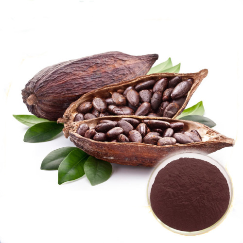 Kakaohuckel-Pigmentpulverschalenextrakt