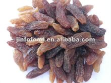 Sultana Raisin & Green Raisin & Red Raisin & Golden Raisin & Mare's Milk Raisin