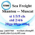 Serviços para Muscat de transporte de mercadorias de Shantou Ocean