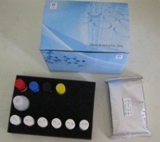 Human Kidney injury molecule 1(KIM-1) ELISA Kit