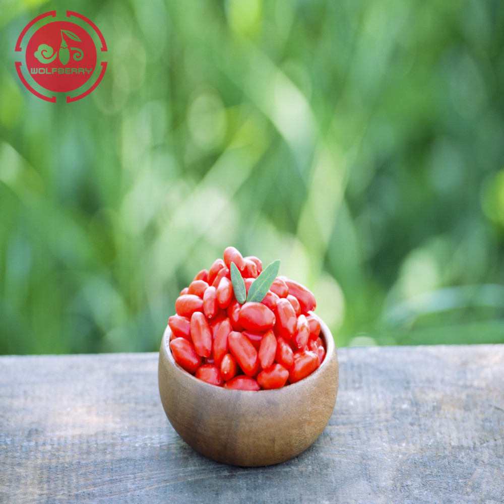 Goji berry / Wolfberry / High Nutrition goji berry