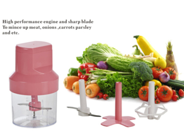 Masticating juicer Wiki Food Processor