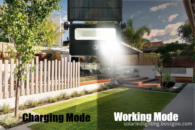 Garden Solar Motion Sensor Lights