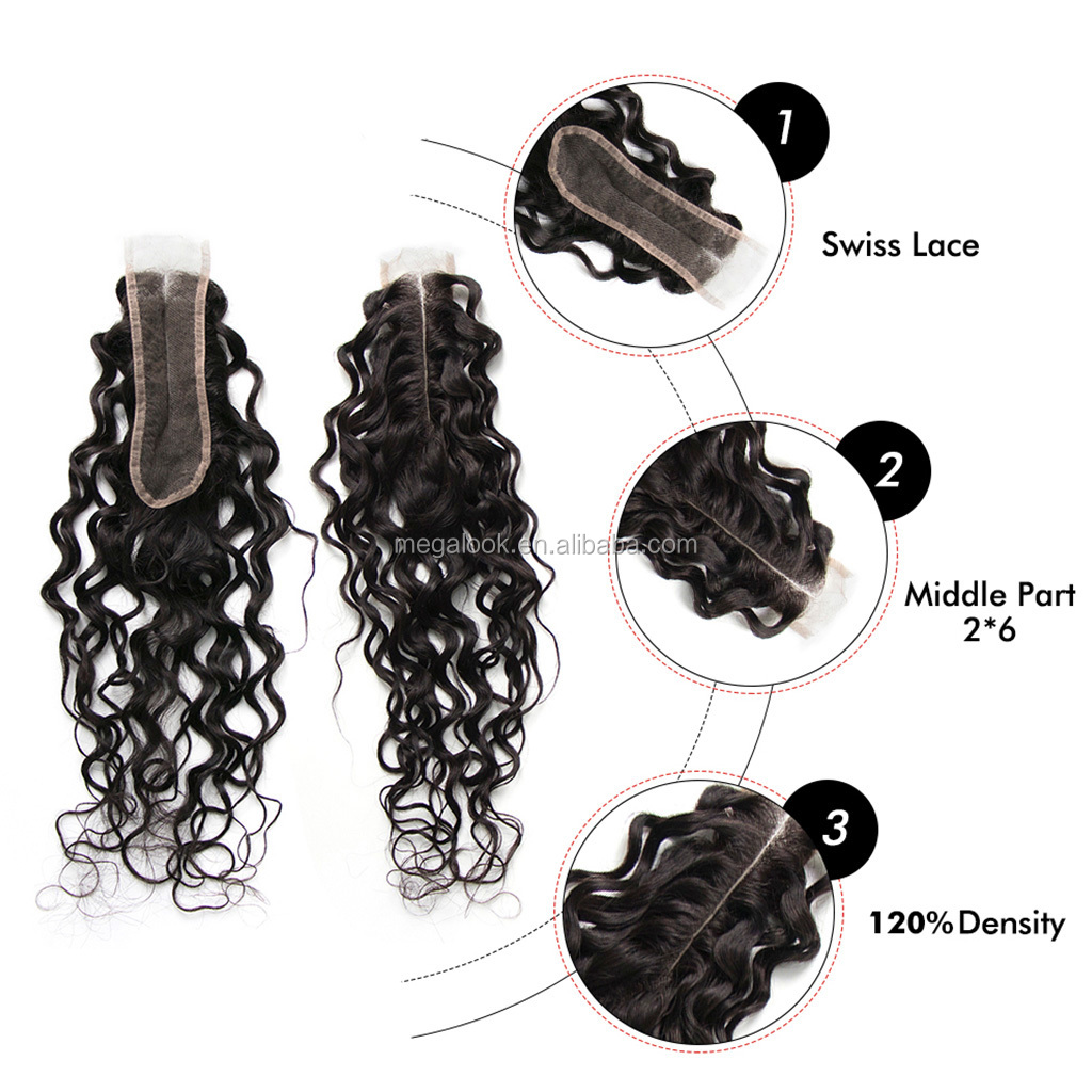 Middle Part 2*6 Lace Closure Brazilian Water Wave Remy Human Hair Closure Unprocessed Virgin Hair Human Hair 2*6 Closure