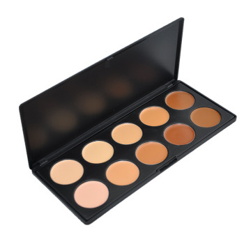 Excellent Professional 10 color concealer palette