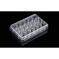 Pet Memberane Cell Culture Inserts สำหรับแผ่น 24 หลุม