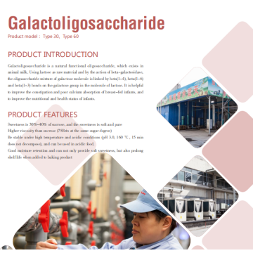 Food Additives Galacto-oligosaccharides GOS Powder