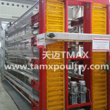 Automatic Egg Collecting System