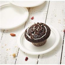 Biodegradable Disposable Paper Bagass Birthday Party Plates