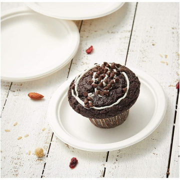 Biodegradable Disposable Paper Bagass Birthday Party Plates