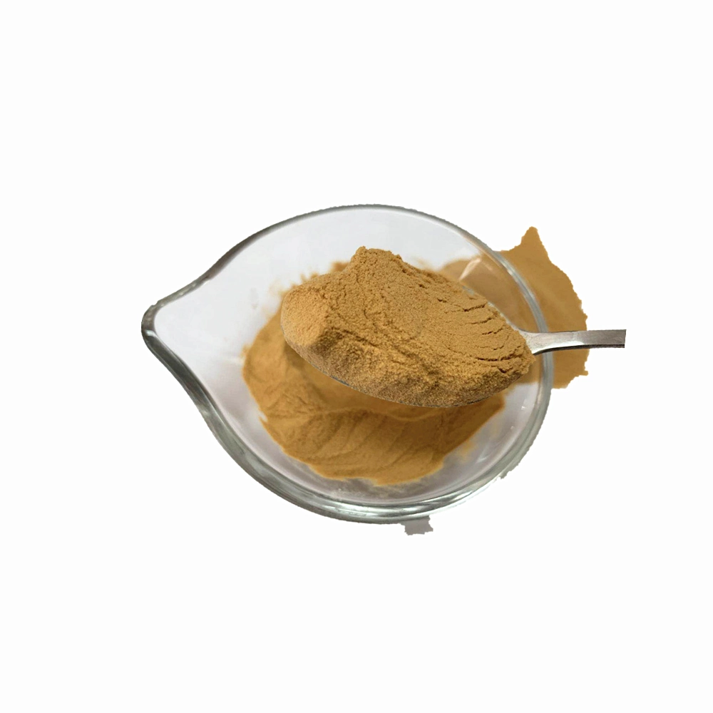 Factory Price Yeast Extract Powder R5297 for Soy Sauce