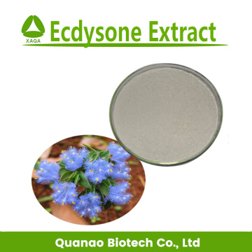 Ecdysone Extract 40% 50% 100% natural