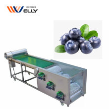Customizable High Capacity 304 Stainless Steel Blueberry Sorting Machine - Welly