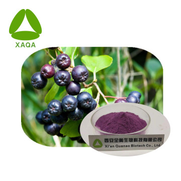 Black Chokeberry Extract Anthocyanin Powder