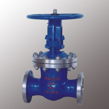Pressure Seal Gate Valve