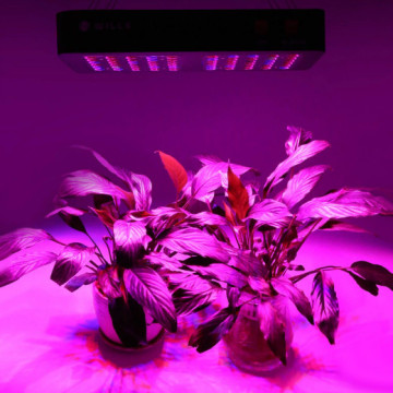 Spektrum Penuh Merah Blue White LED Grow Lights