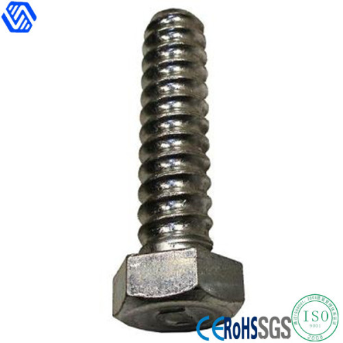 Titanium Hex Bolt