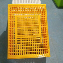 Hot Sale Plastic Poultry Transport Crates
