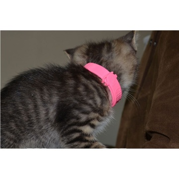 Anti-mosquito Silicone Dog Pet Collar Cat Safe Necklace