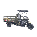 Zhongyue 200 luftkyld bränslemotor trehjuling