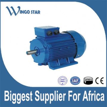 high efficiency electric motor