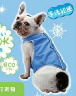 waterproof ice dog jackets