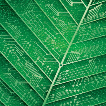 No Defect Transparent Good Coating Label Base Film