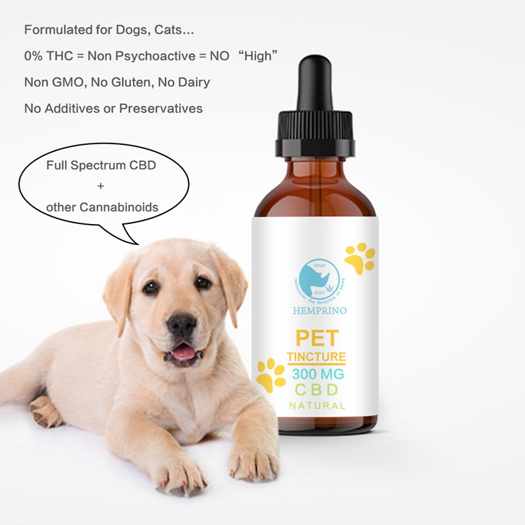 hemp extract CBD for pets hemp cbd oil for dogs