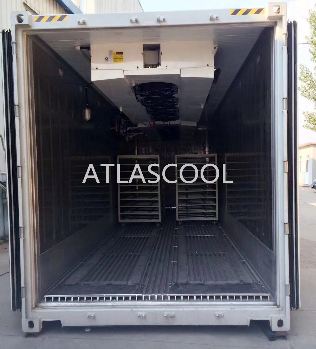 contenedor de cuarto frío cold room container