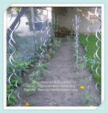 galvanized Tomato Spirals