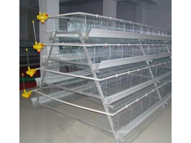 Cheap chicken animals battery cages layer price system with auto feeder drinker and cleaner