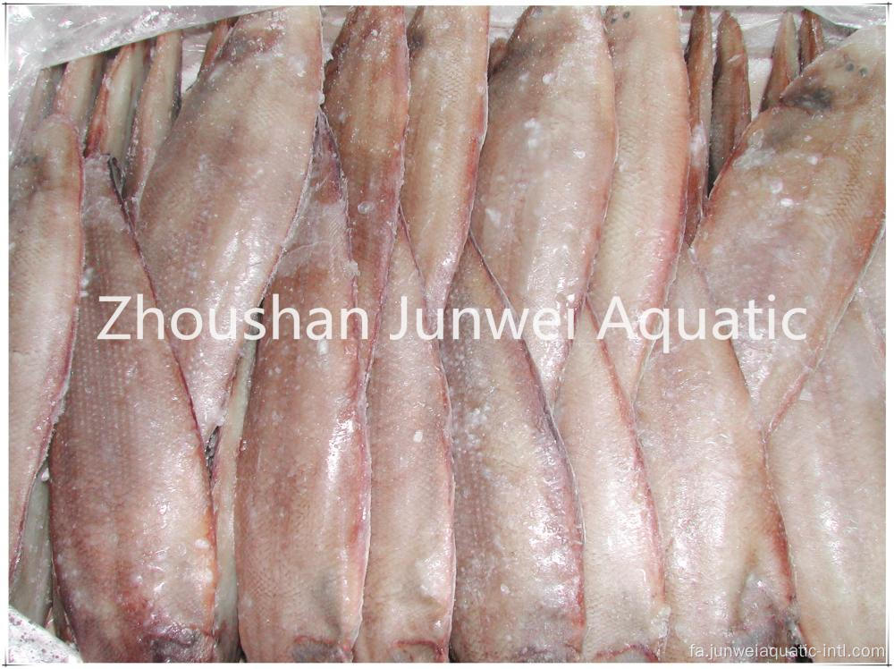 کف ماهی تازه منجمد خوب