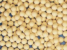 Molecular Sieve 3A series