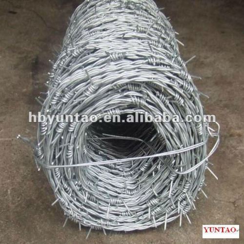 4 Barbed Points Double Strand Barbed Wire in Promotion