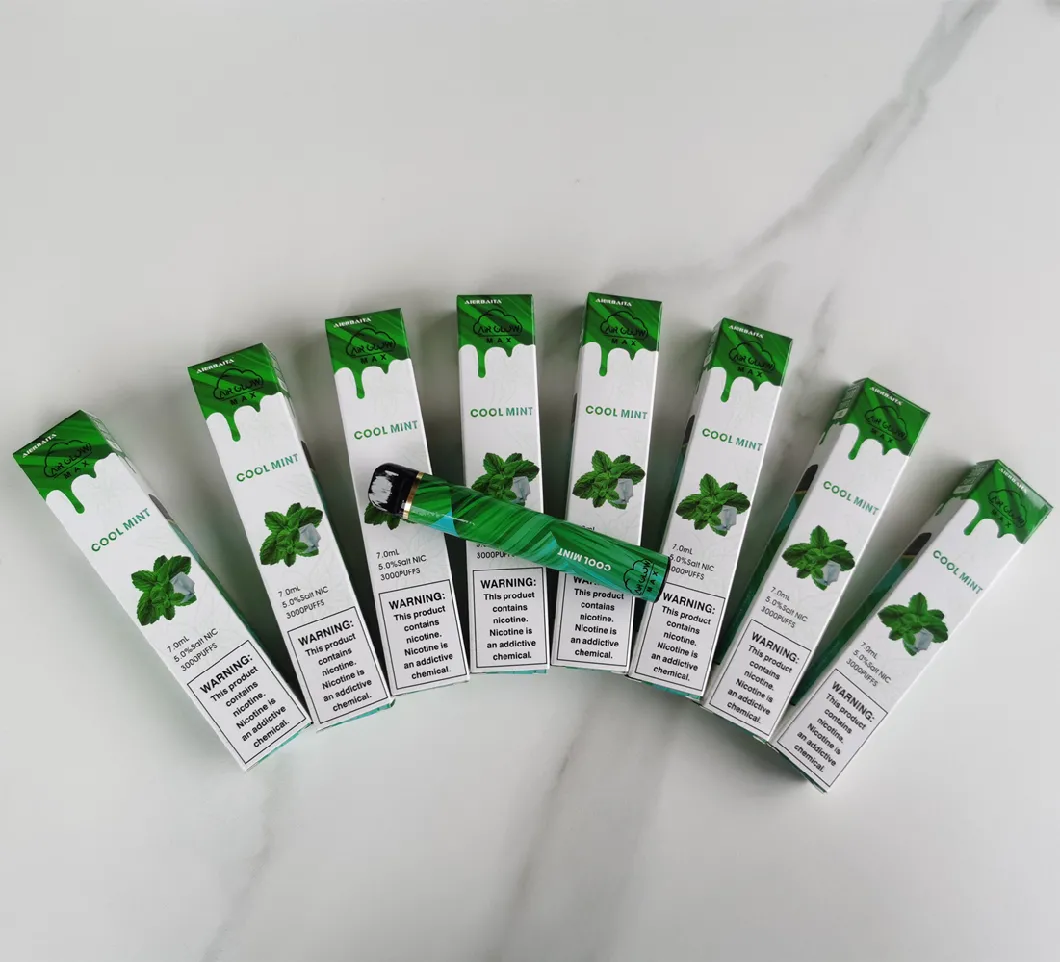 Shenzhen E Cigarette OEM Vape 3000 Puffs Disposable Ecig