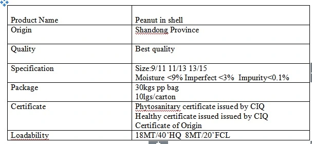 New Crop 2020 Raw Peanut in Shell Seaflower Luhua