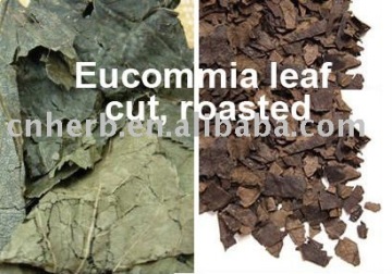 Eucommia leaf tea (loose leaf tea)