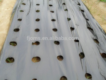 Plastic mulch agriculture black ground cover