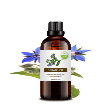 Wholesale first grade herbal extract Borage oil