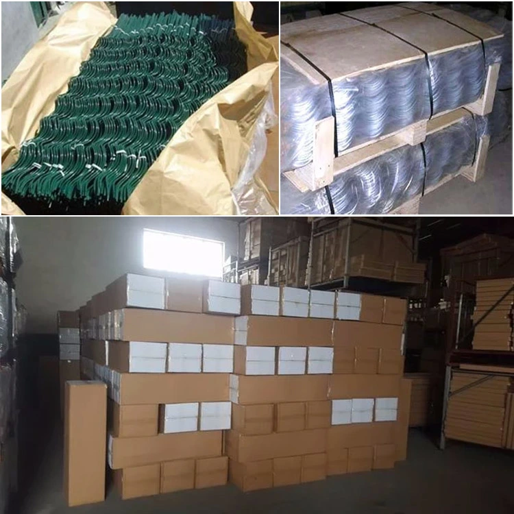 Carton Package Low Carbon Steel Wire Tomato Support in Cheap Price