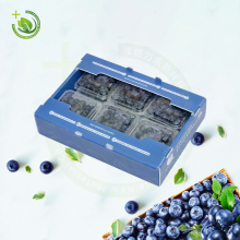 Lightweight Plastic Sheet/Panel Board PP Packing Box for Easy Fruit Blueberry Handling, Transport, and Storage