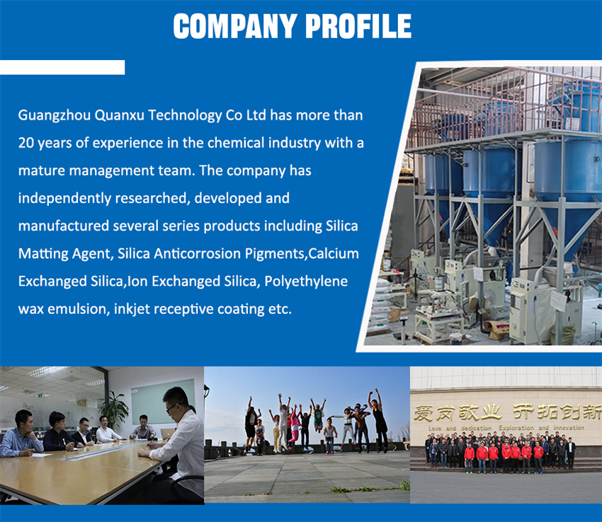 Company Profile