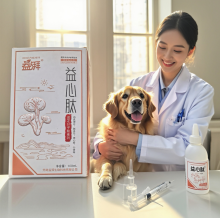 Heart health supplements for senior pets