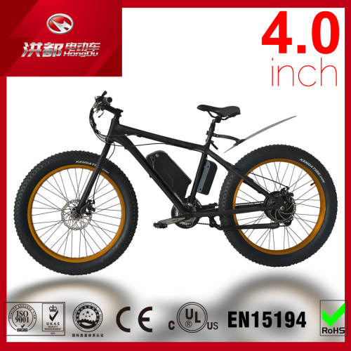 MTB Fat Tire Electric Bicycle with 500W Motor Ebike