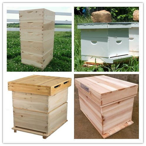 Fir wood Langstroth beehive for beekeeping or wooden beehive