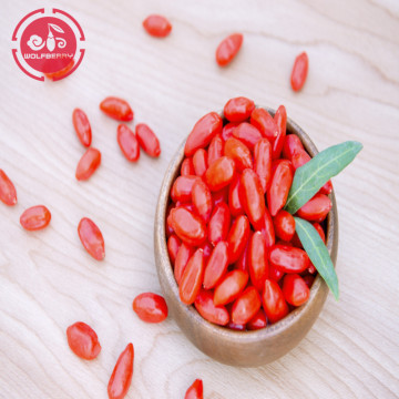 Improves Disease Resistance Anti-cancer Orgainc Goji Berries