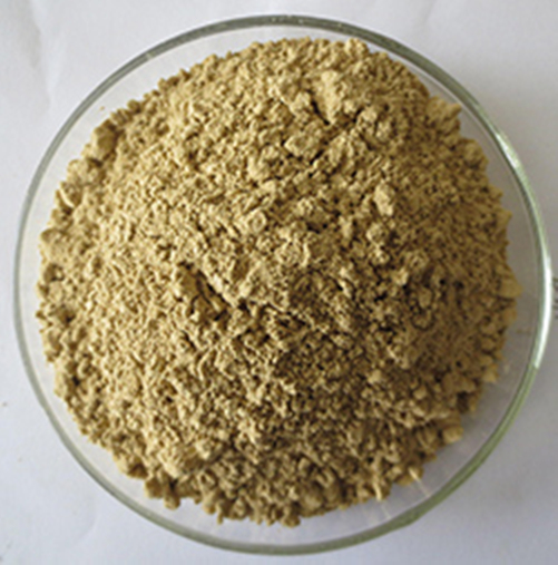 Organic Balsam Pear Powder Jpg