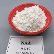 Rooting Promotion? NAA 1-Naphthaleneacetic acid