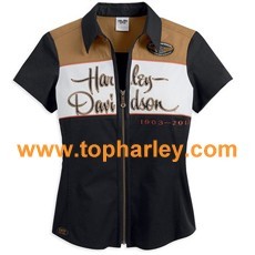 harley 110th Anniversary Short Sleeve shirt 96102-13vw